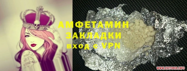 шишки Анжеро-Судженск