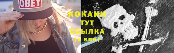 амф Магадан