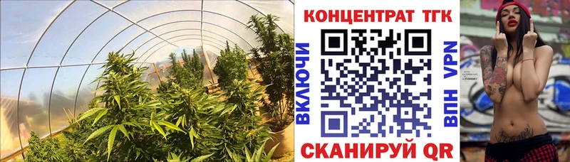 omg продажа наркотиков Смоленск ТГК вейп