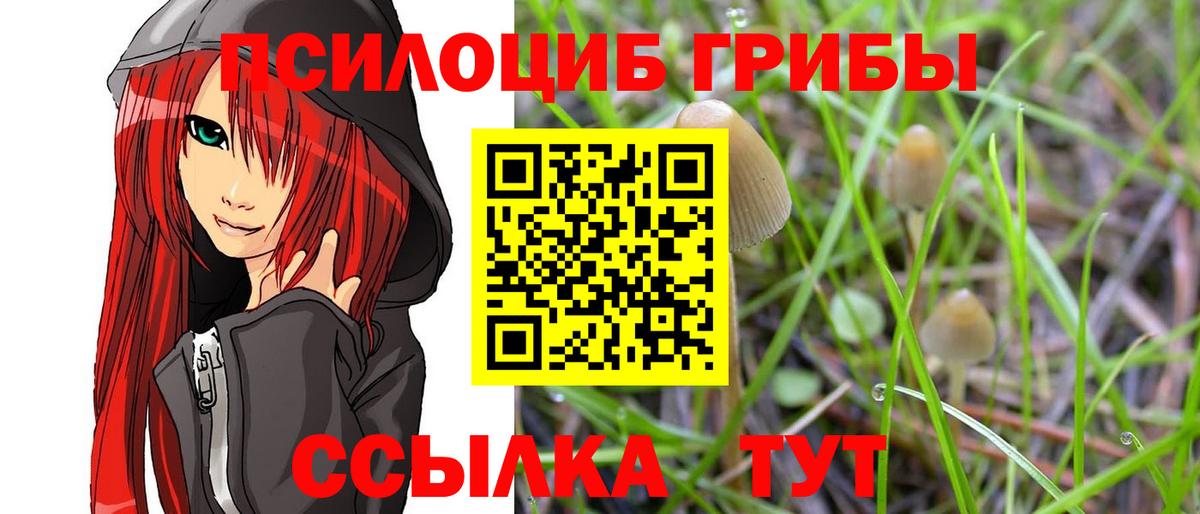 Смоленск  Псилоцибиновые грибы мухоморы  Псилоцибиновые грибы Psilocybe  Вход с VPN 